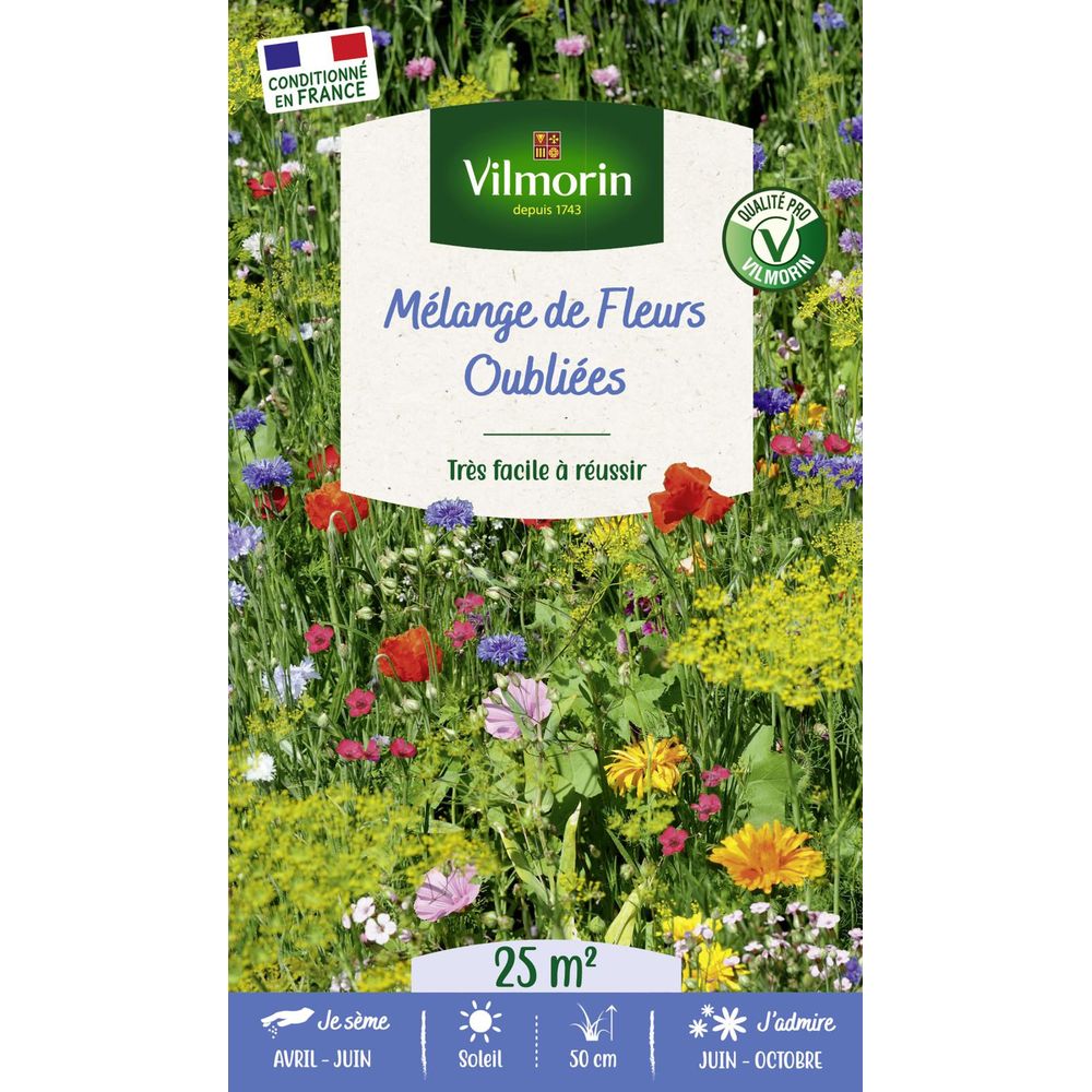 Fleurs oubliées - 25 m² - mélange de fleurs