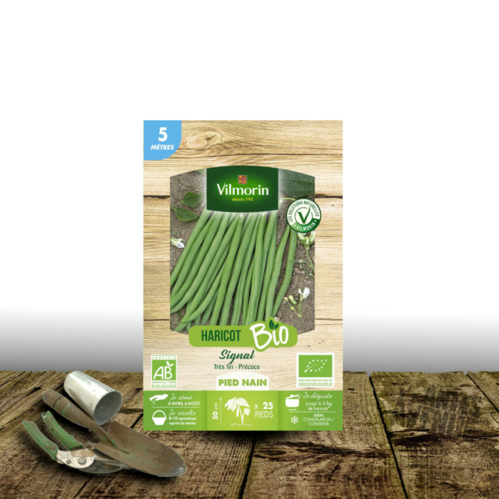 Graines de haricot nain vert sans fil signal - sans traitement - vilmorin boite - 5 mètres