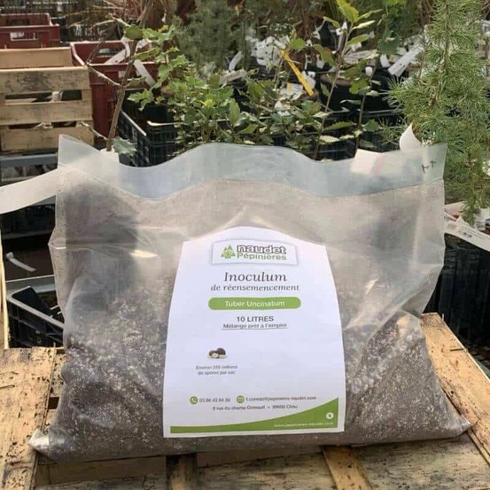 Substrat réensemencement tuber uncinatum sac de 5 litres