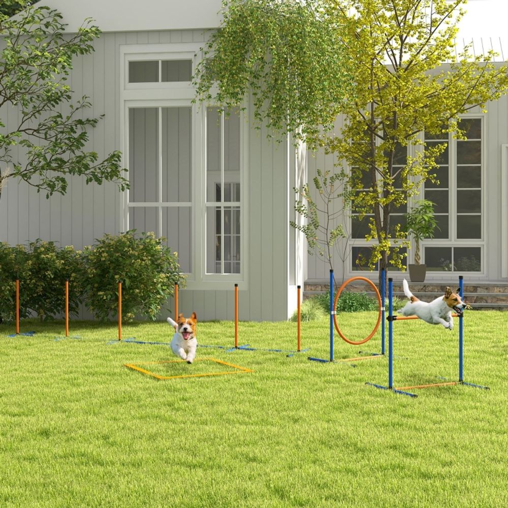Kit agility chien plastique entraînement extérieur hauteur réglable bleu et orange - comfortxl outdoor living
