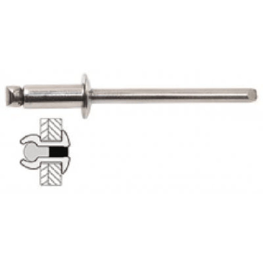 50 rivets inox / inox à tête plate ø 4 x 6 mm | Truffaut