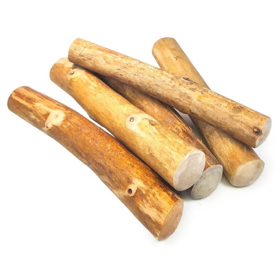 Pack famille (5 bâtons) à mâcher en bois de cannelle de java, taille s, jouet exclusif pour petit chien (-8kg)
