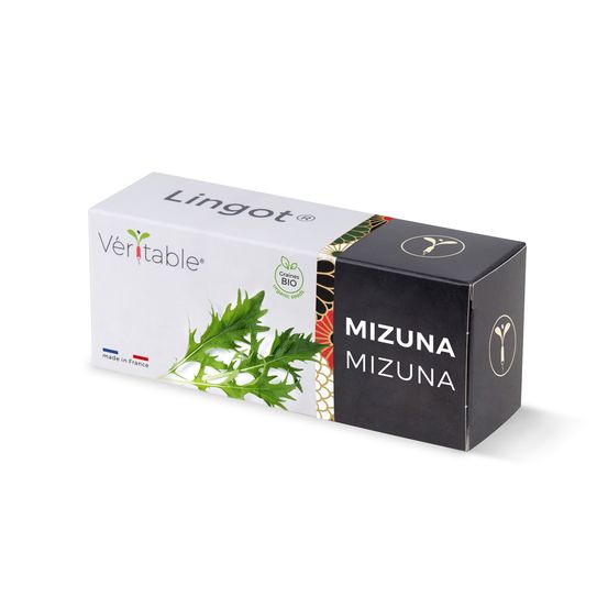 Lingot mizuna bio - recharge prête à l'emploi