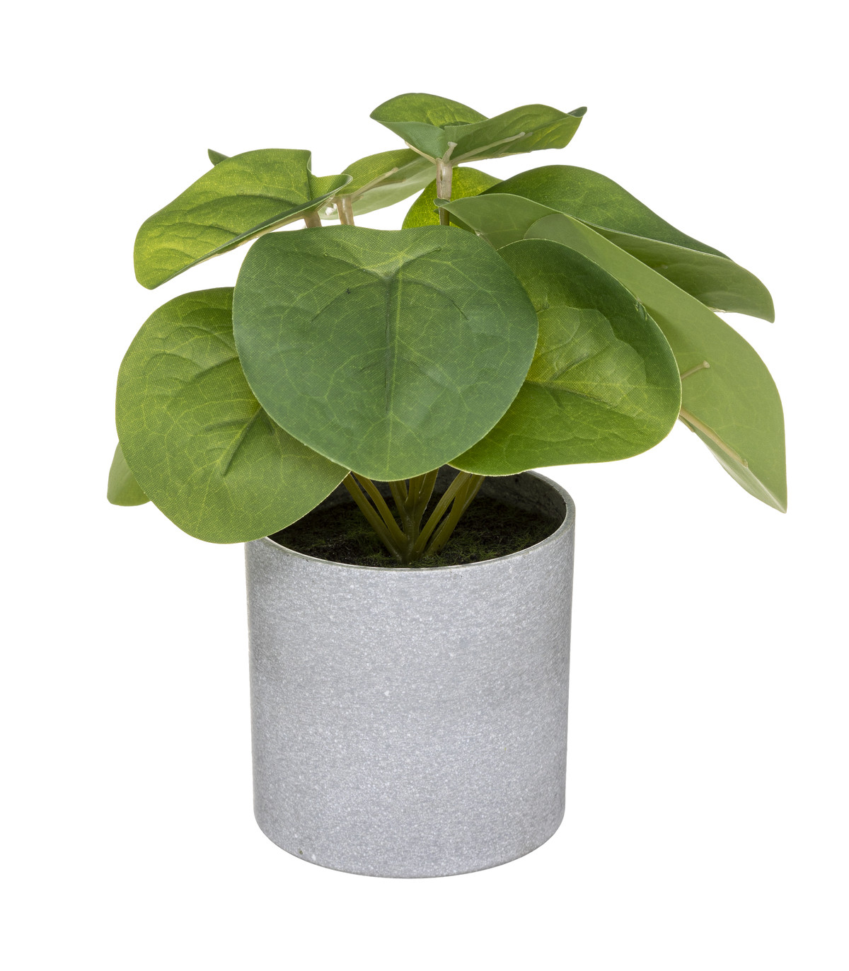 Plante verte artificielle en pot h 18 cm