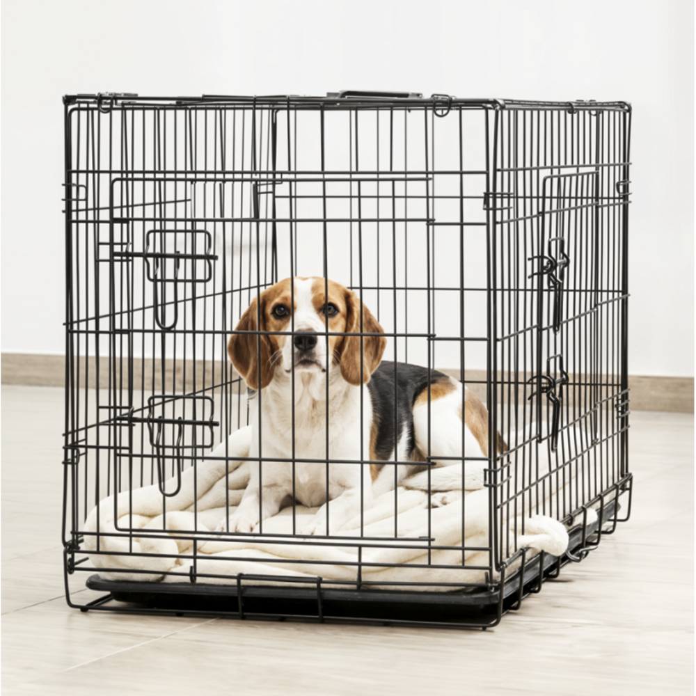 Cage de transport pliable pour chien 90x57x63cm taille l
