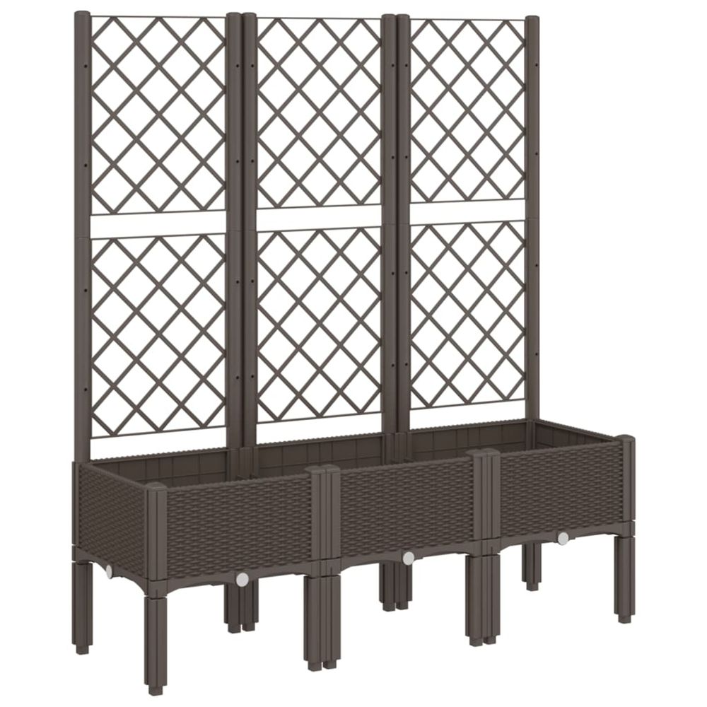 Jardinière d'extérieur avec treillis marron 120x40x142 cm pp