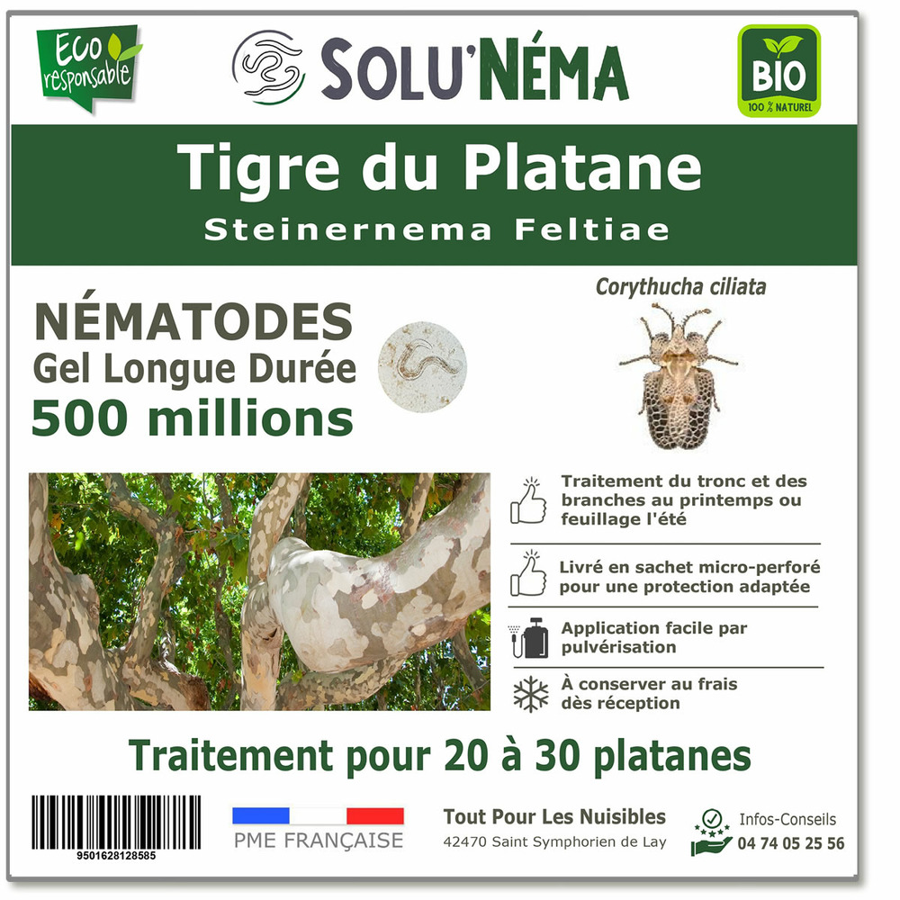 Solunema - nématodes contre le tigre du platane - 500 millions - pour 20 à 30 platanes