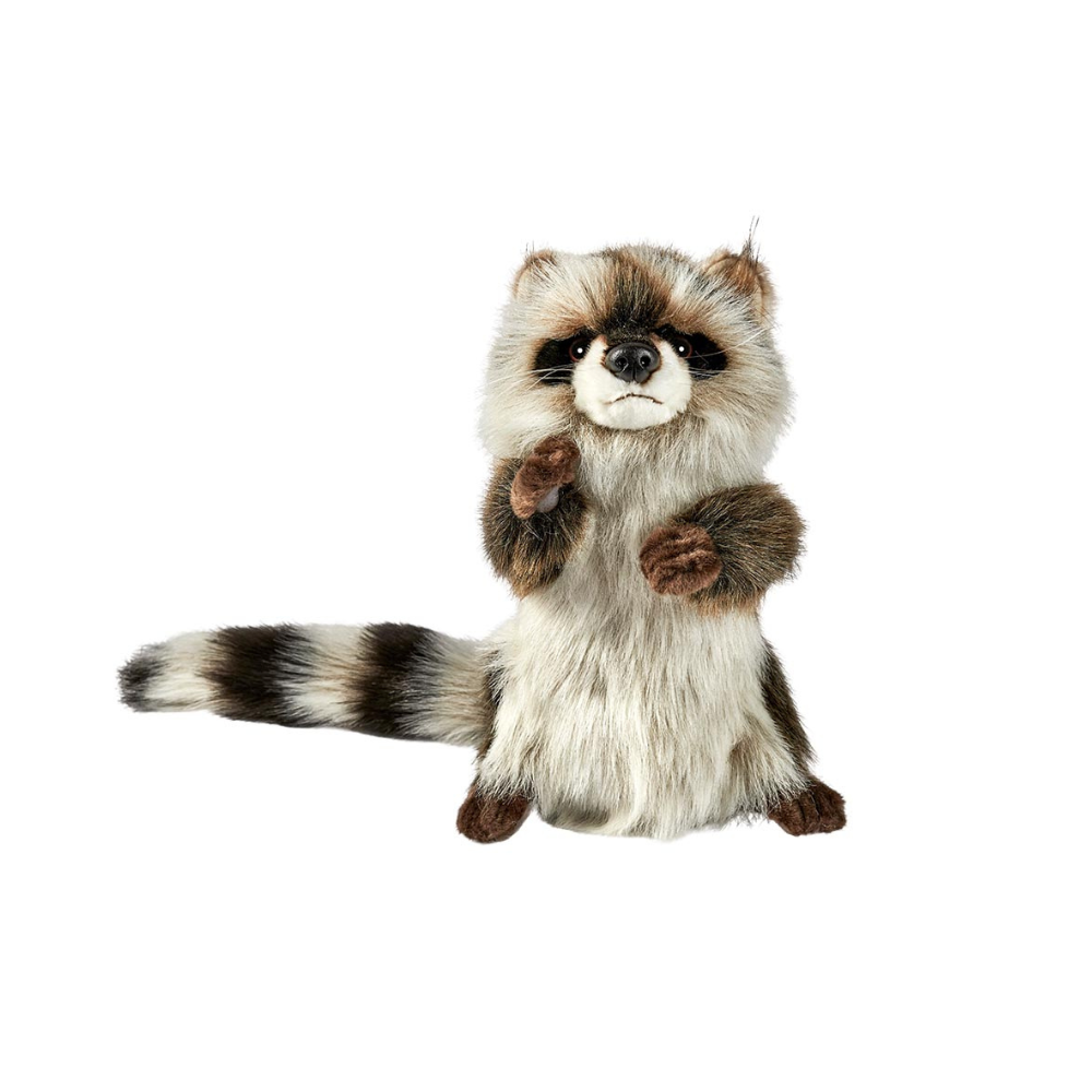 Marionnette raton laveur 50 cm