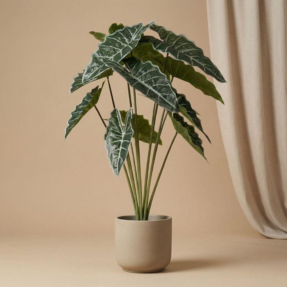 Alocasia 80cm - plante artificielle
