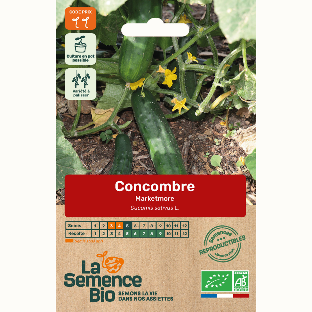 Concombre marketmore - graines bio