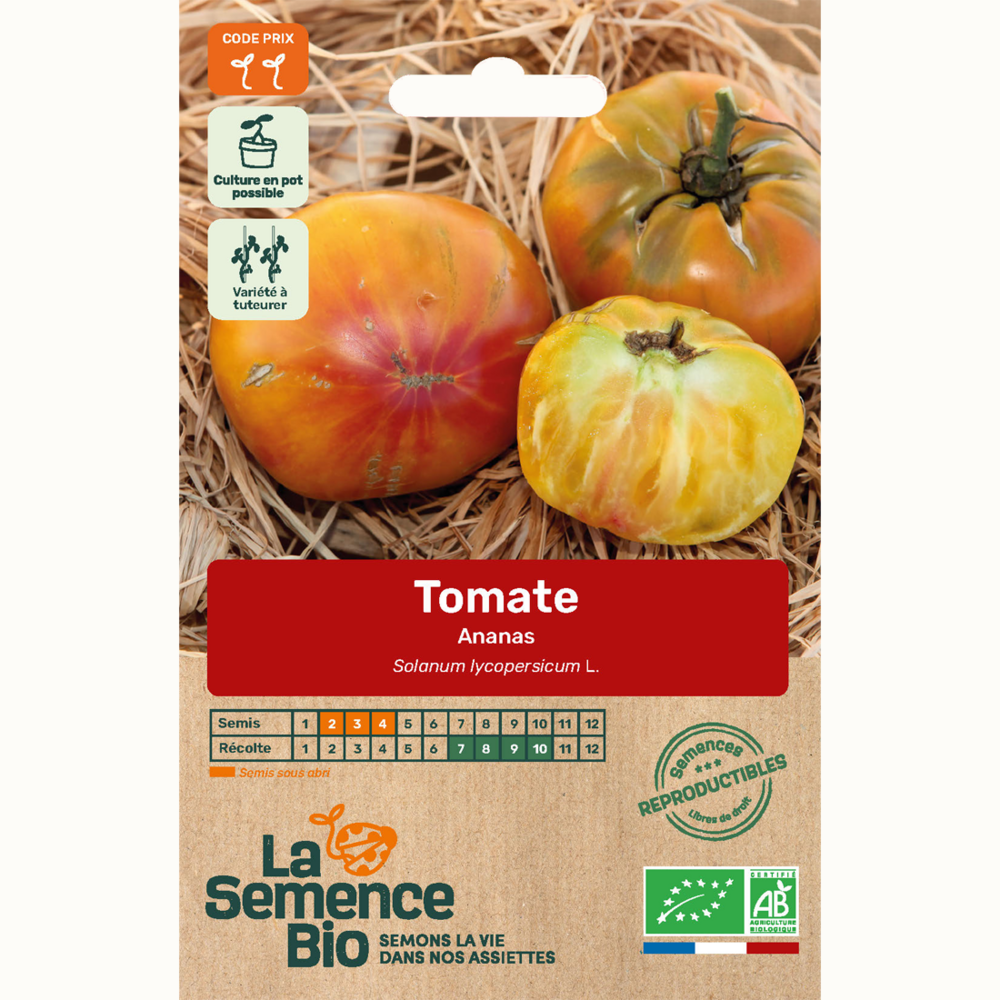 Tomate ananas - graines bio