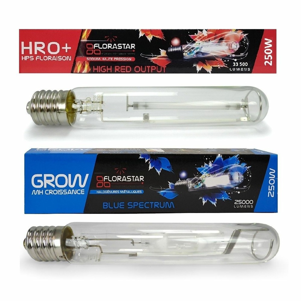 Pack ampoules 250w mh + hps