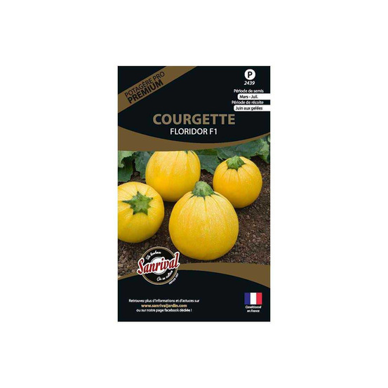 Graines potagères premium courgette ronde jaune floridor