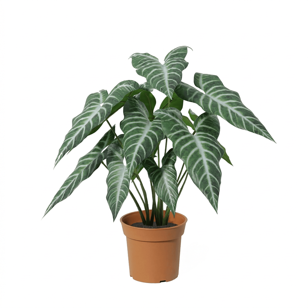 Alocasia polly - 49cm - ø15cm - plante artificielle