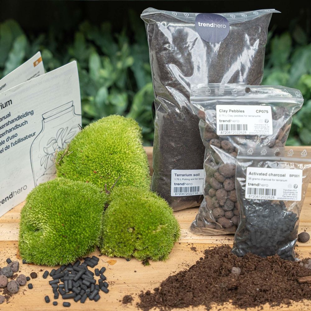 Terrarium à composer - recharge et kit de démarrage (taille l/xl) - terrarium diy
