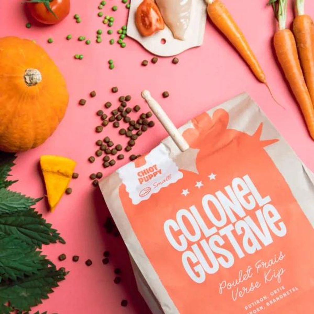 Croquettes super premium au poulet avec viande fraîche, sans céréale, pour chien junior