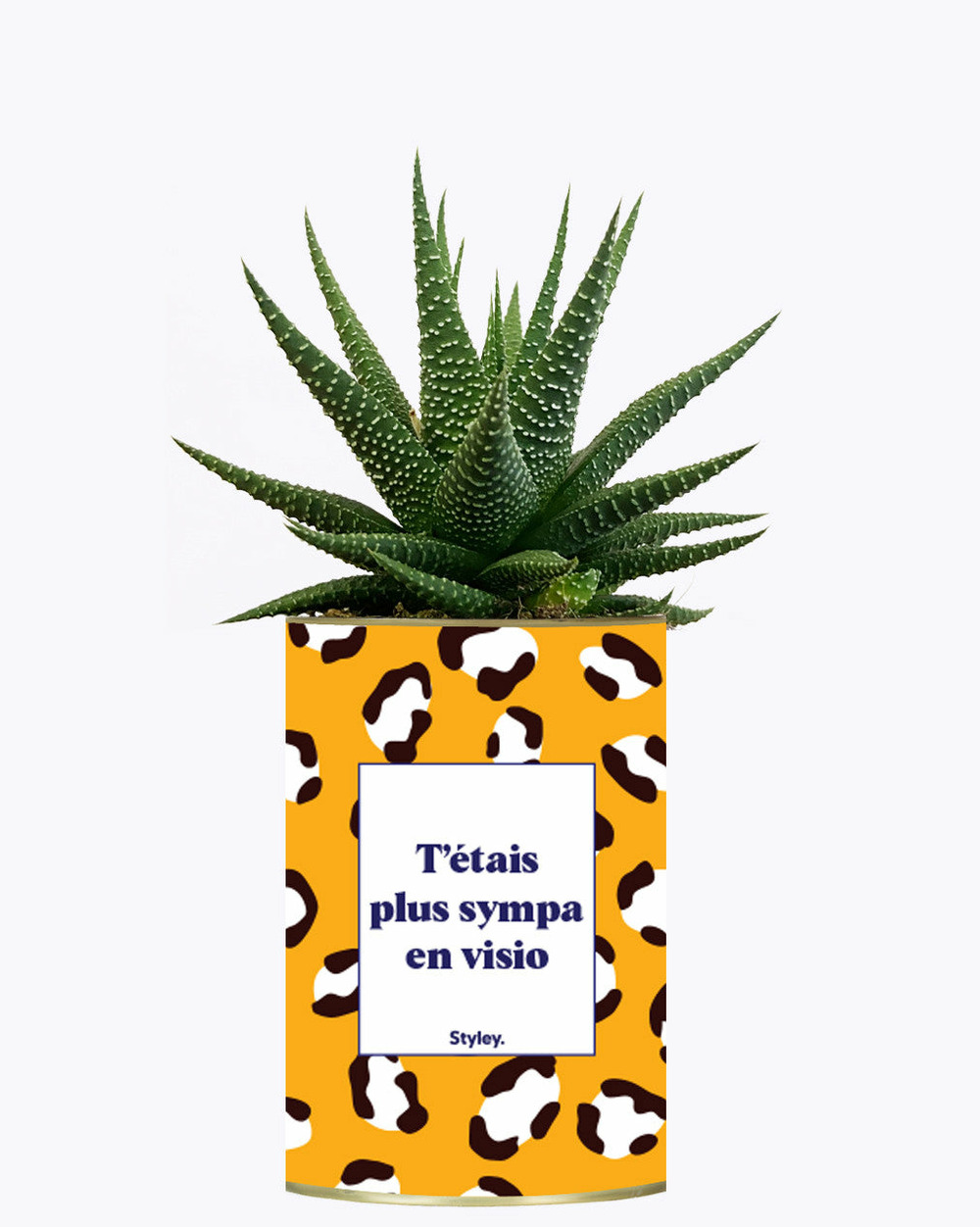 Idée cadeau - t'étais plus sympa en visio - cactus