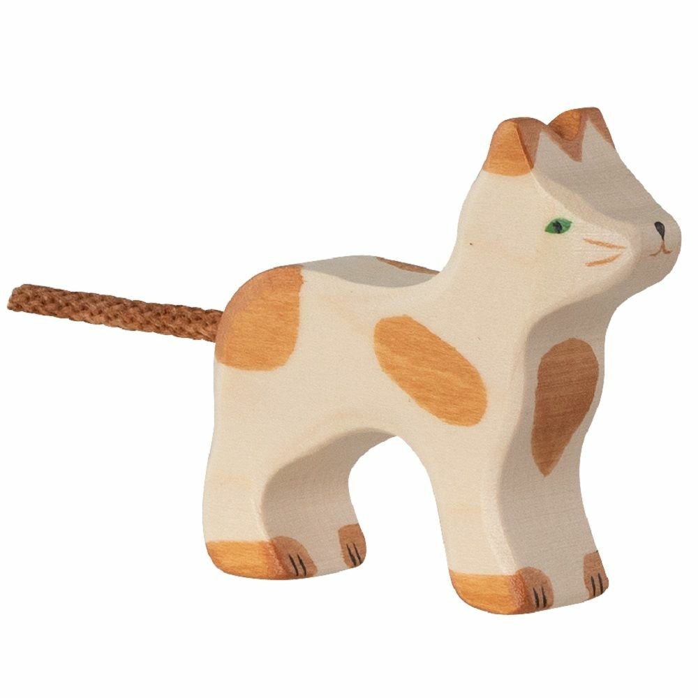 Chat, marron et blanc