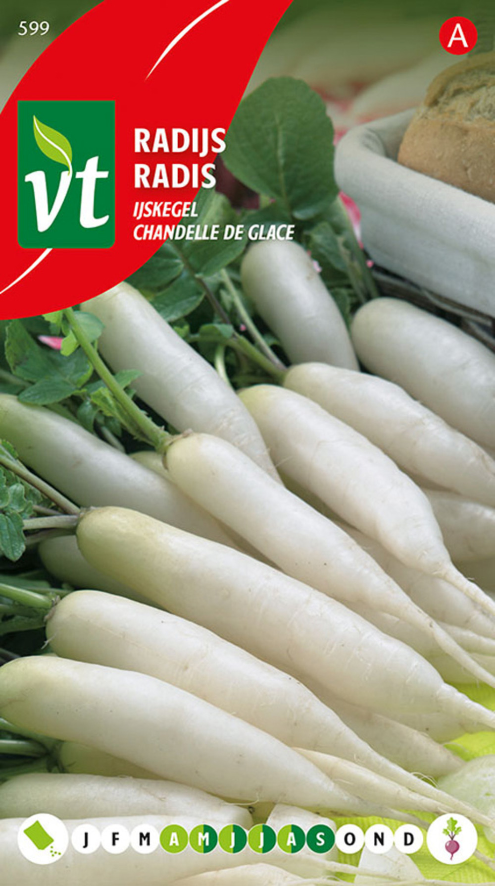 Radis chandelle de glace - ca. 8 gr (livraison gratuite)