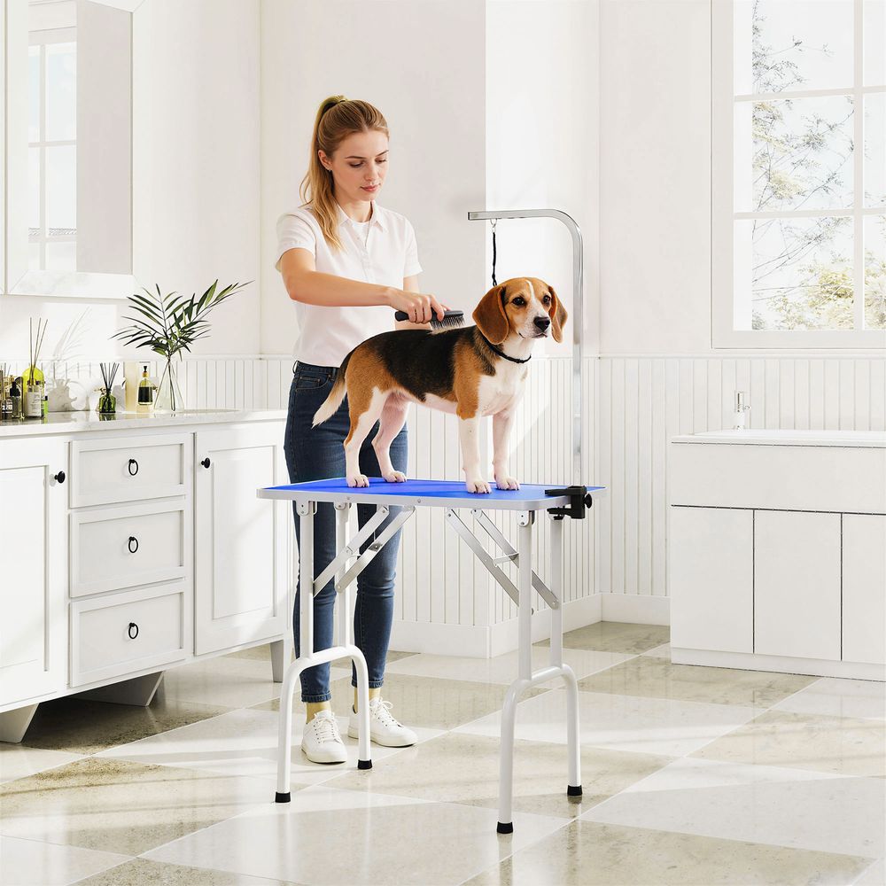 Table de toilettage pour chien acier inoxydable 81 x 48,5 x 80 cm bleue pliable avec potence réglable