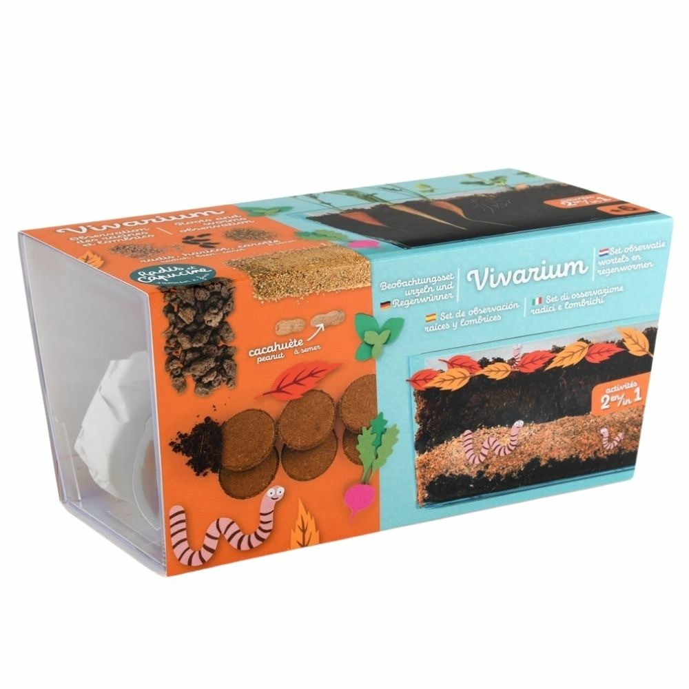 Vivarium racines vers de terre