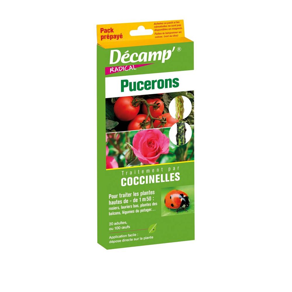 Pack prepaye coccinelles - insectes auxiliaires
