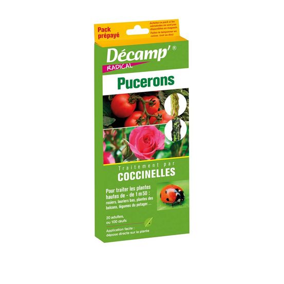 Pack prepaye coccinelles - insectes auxiliaires