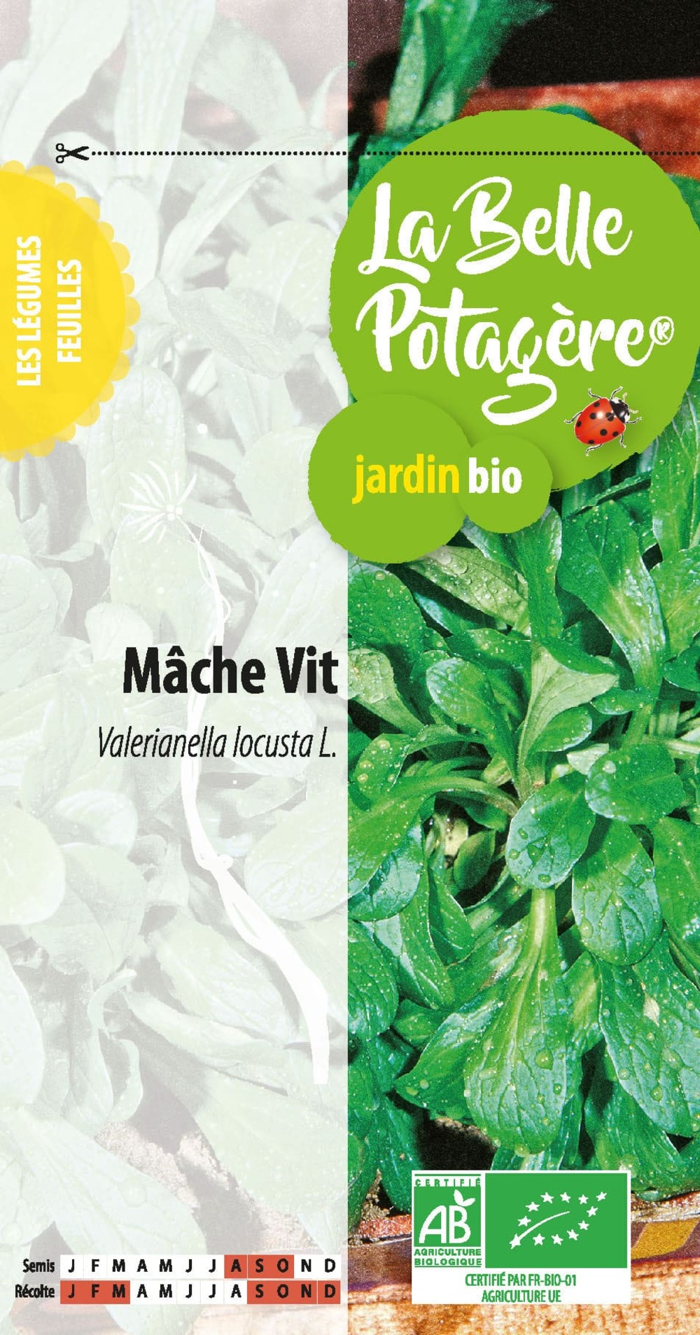 Mâche vit 1 g