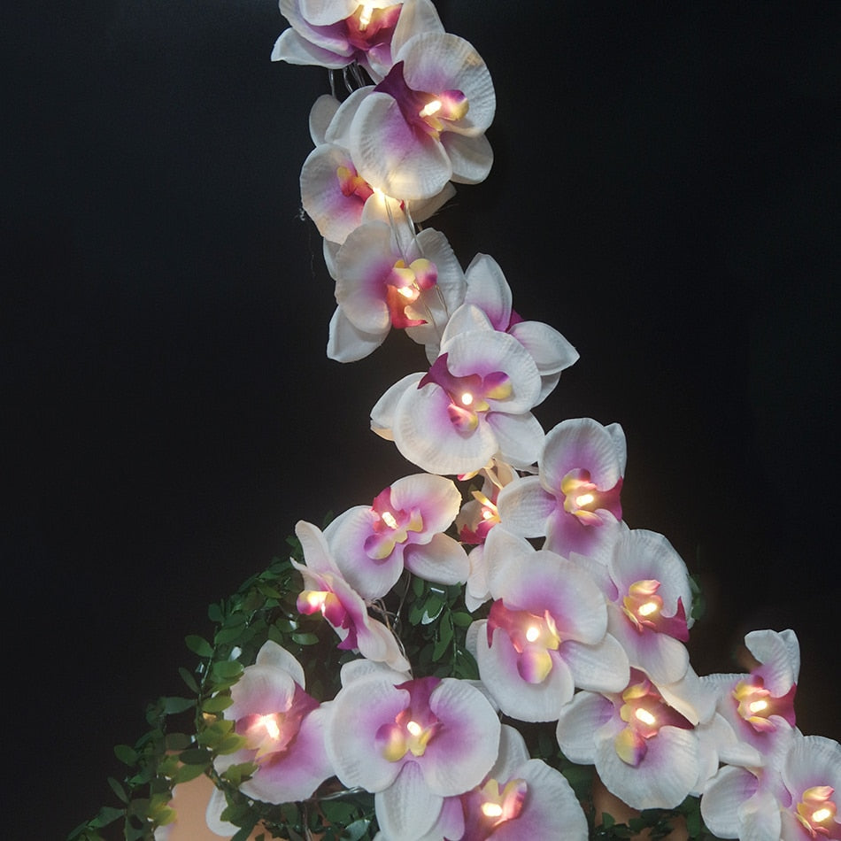 Guirlande lumineuse - orchidée