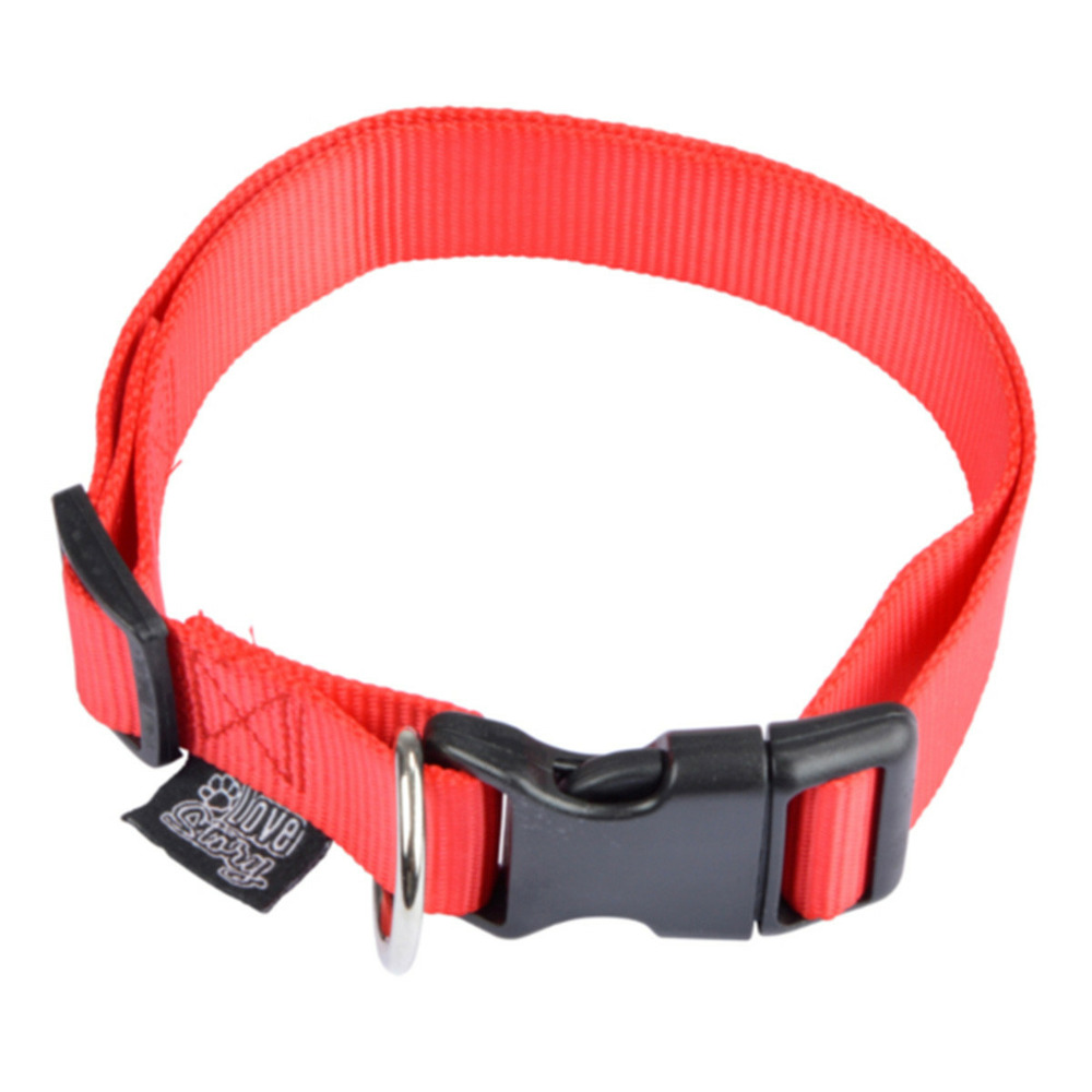 Collier réglable chien 