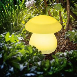 Intex Champignon - acheter sur Intex Champignon - acheter sur