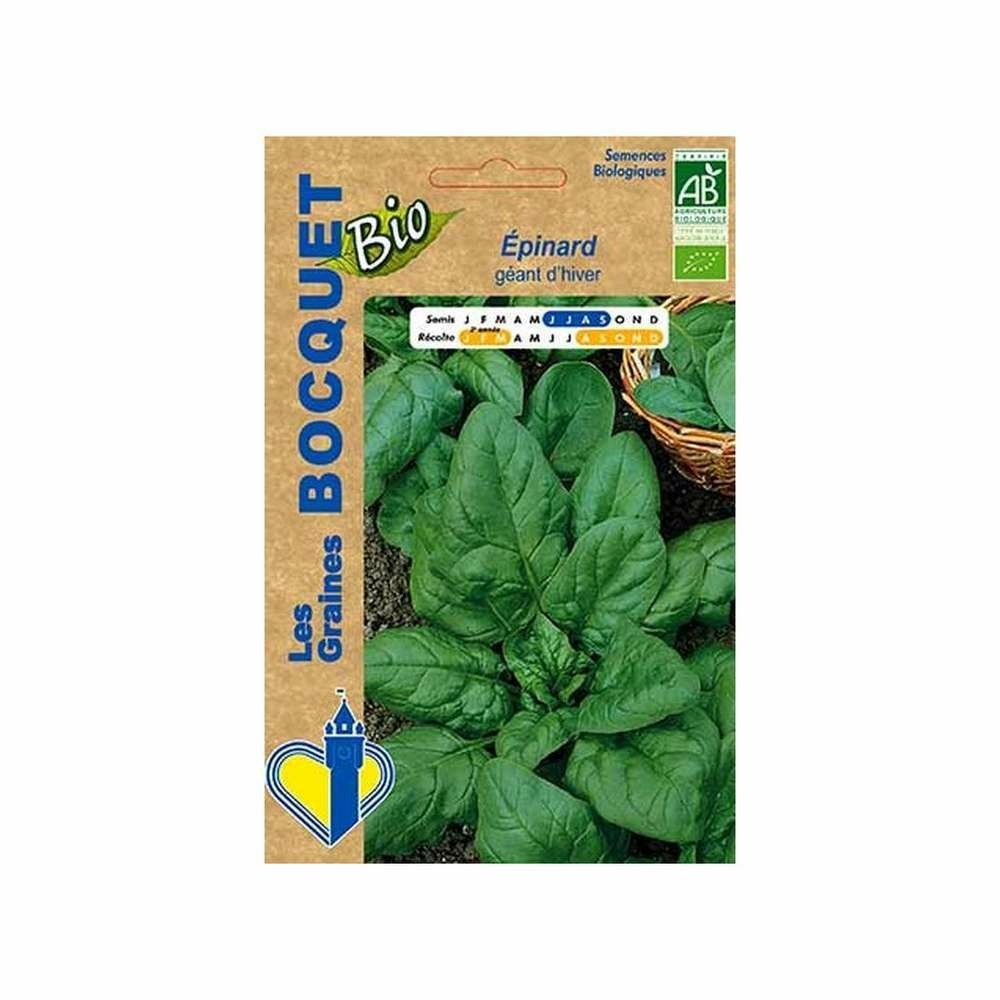 Graines d'épinard géant d'hiver certifié ecocert fr-bio-01
