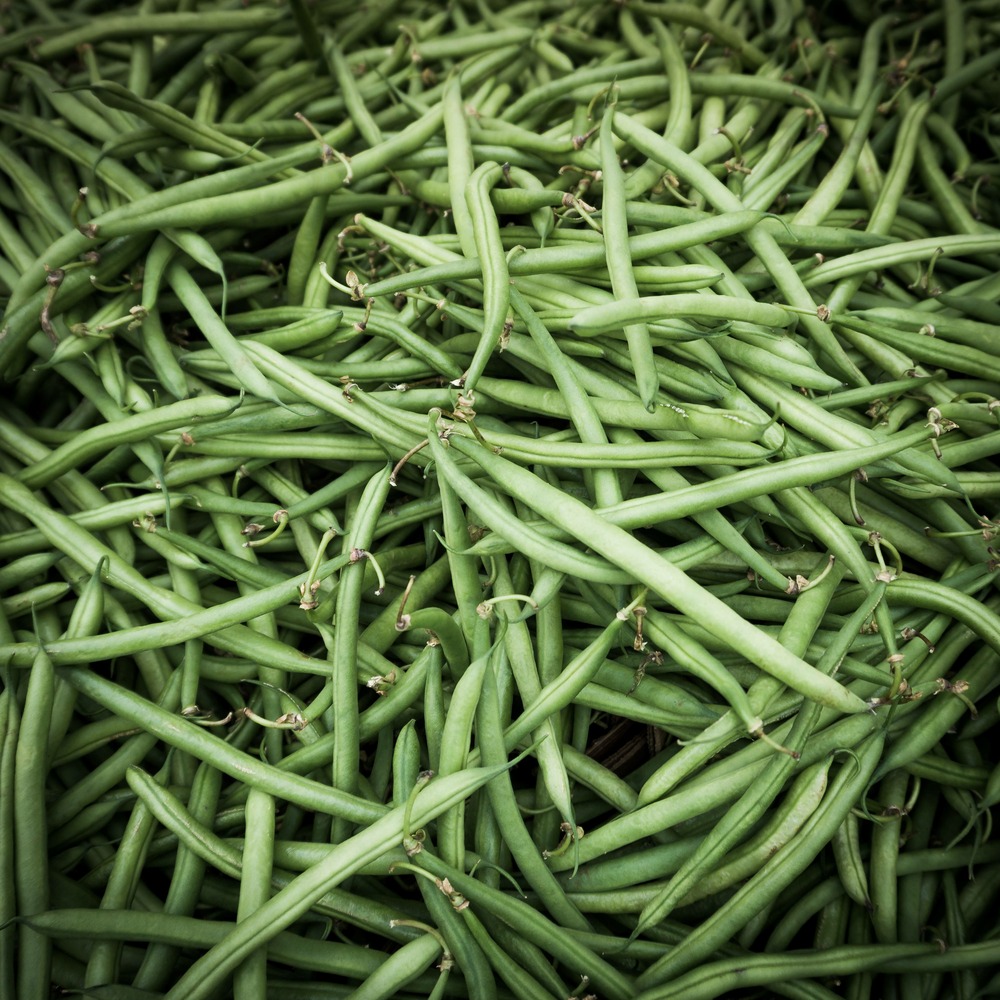 Sachet de graines de haricot nain a filet triomphe de farcy - sachet de 200 grammes - petite entreprise française - made in france