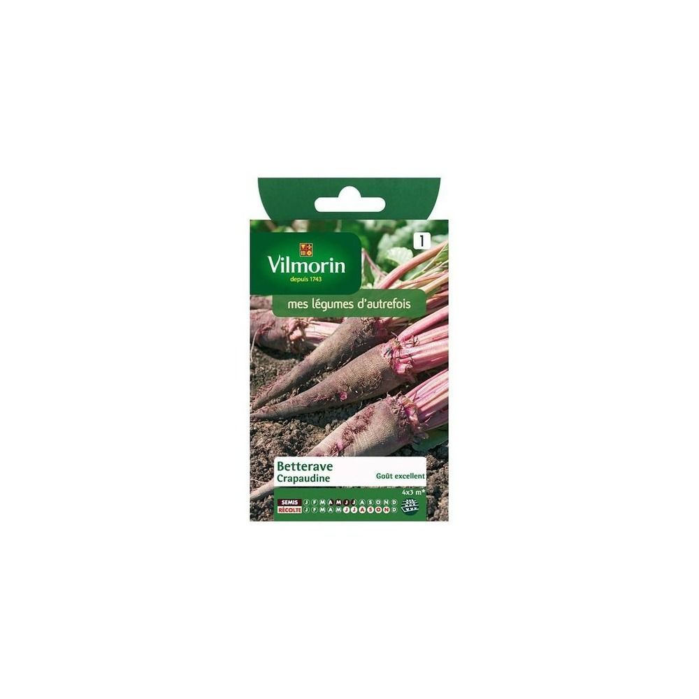 Sachet graines betterave rouge crapaudine