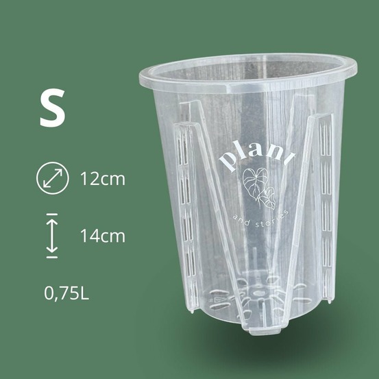 Pot aracées transparent - pot de culture transparent pour plantes - pot de 12cm - x10 unités