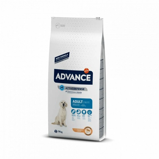 AFFINITY ADVANCE . MAXI A 1-(1016416)