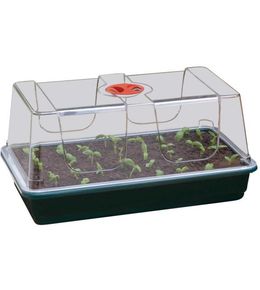 Grand plateau en plastique de semis