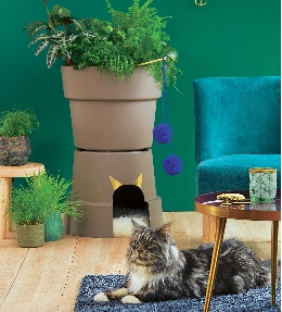 maison pour chat végétale