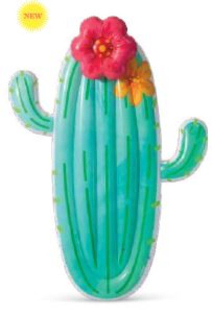 Matelas cactus