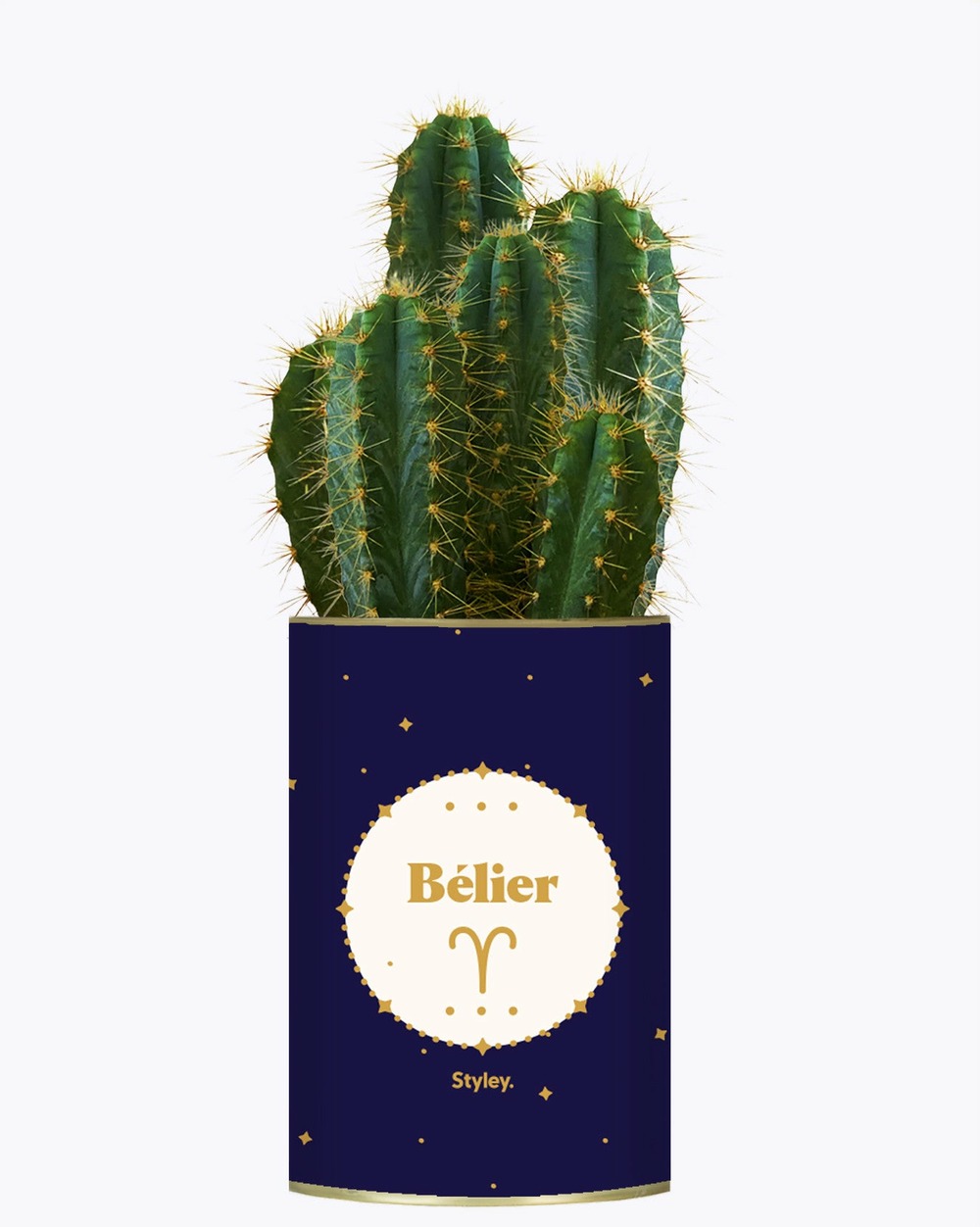 Idée cadeau - astrologie - plante zodiac