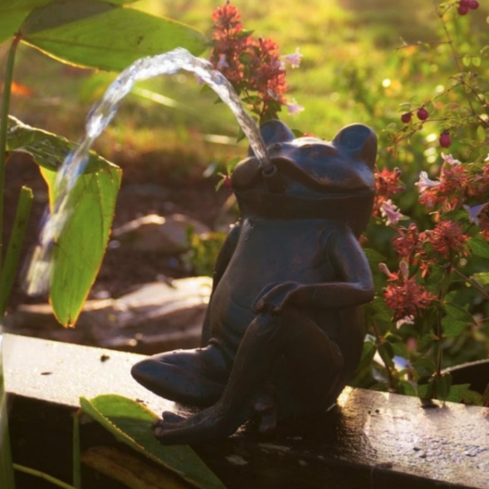 AMUR Fontaine de Jardin Grenouille - avec Lumière LED - 230
