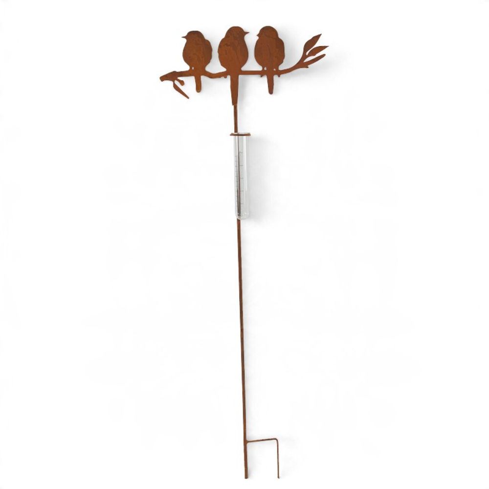 Tuteur pluviomètre jardin oiseaux 35x1x105cm