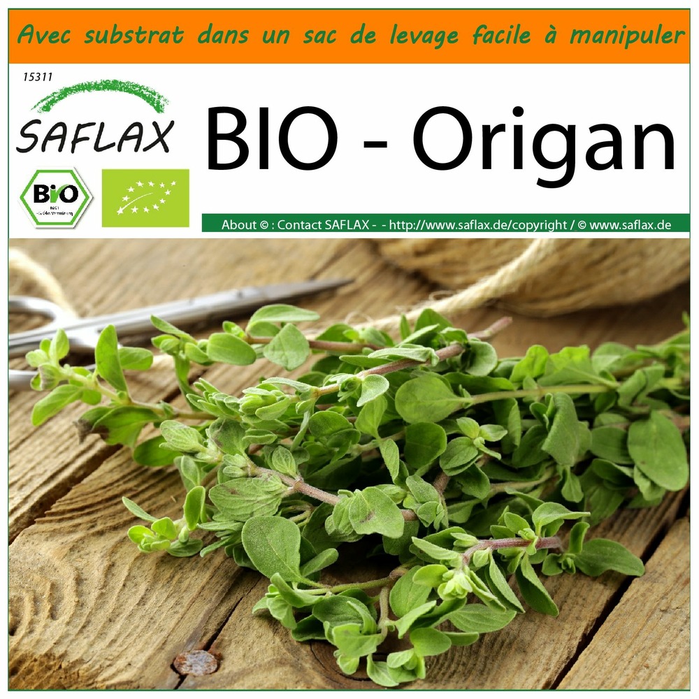 Garden in the bag - bio - origan - 1500 graines - origanum heracleoticum