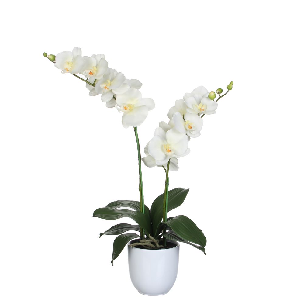 Mica decorations - orchidée artificielle crème en pot h50
