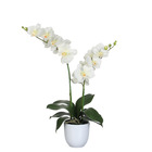 Mica decorations - orchidée artificielle crème en pot h50