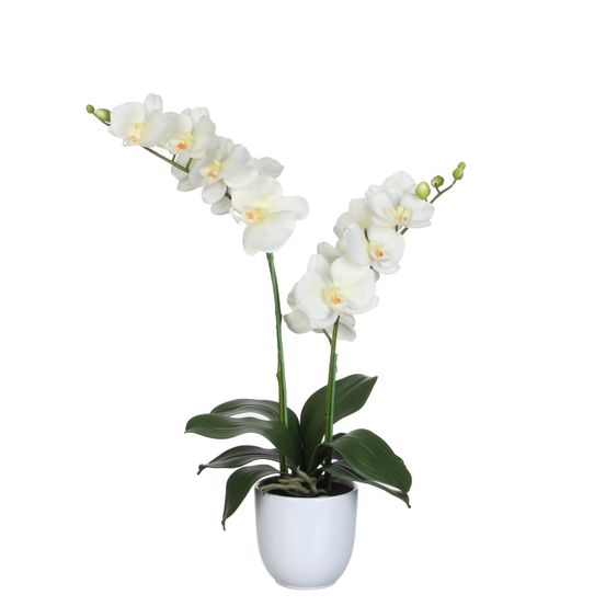 Mica decorations - orchidée artificielle crème en pot h50