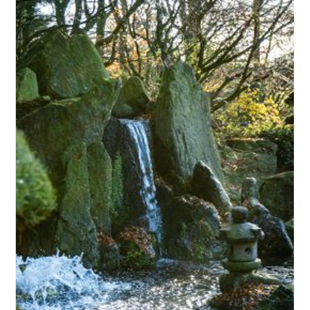 Petite cascade en pierre dans un jardin