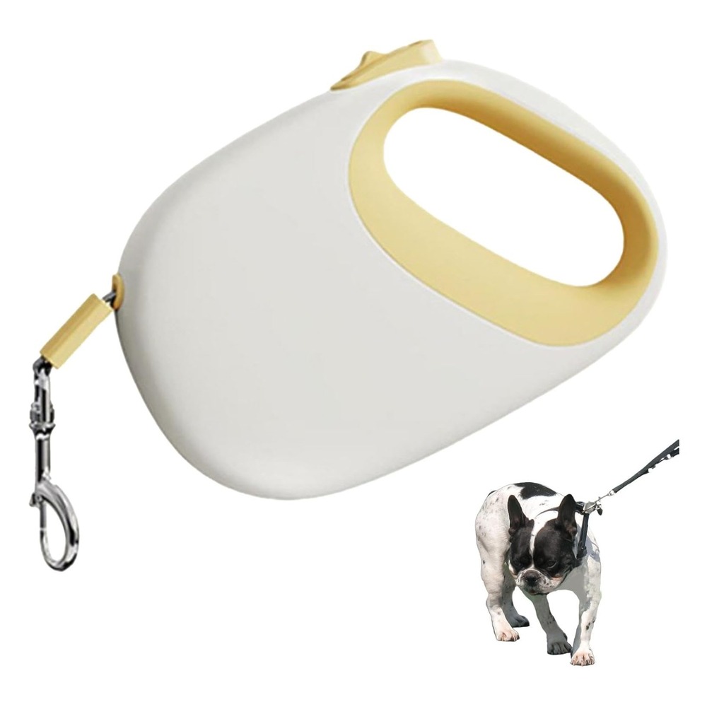 Laisse rétractable chien 5m - robustesse et portabilité