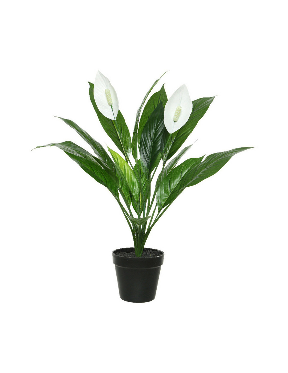 Plante artificielle fleur de lune