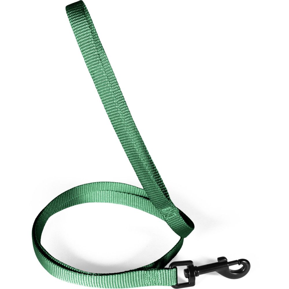 Laisse pour chien en nylon recyclé, sangle 15 mm, longueur 1,20 m - zolux (